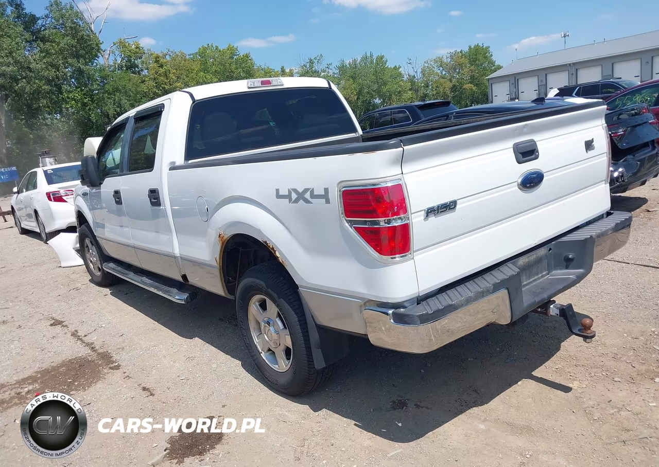 2010 Ford F-150 Xlt VIN:1FTFW1E88AFB87077 - 3