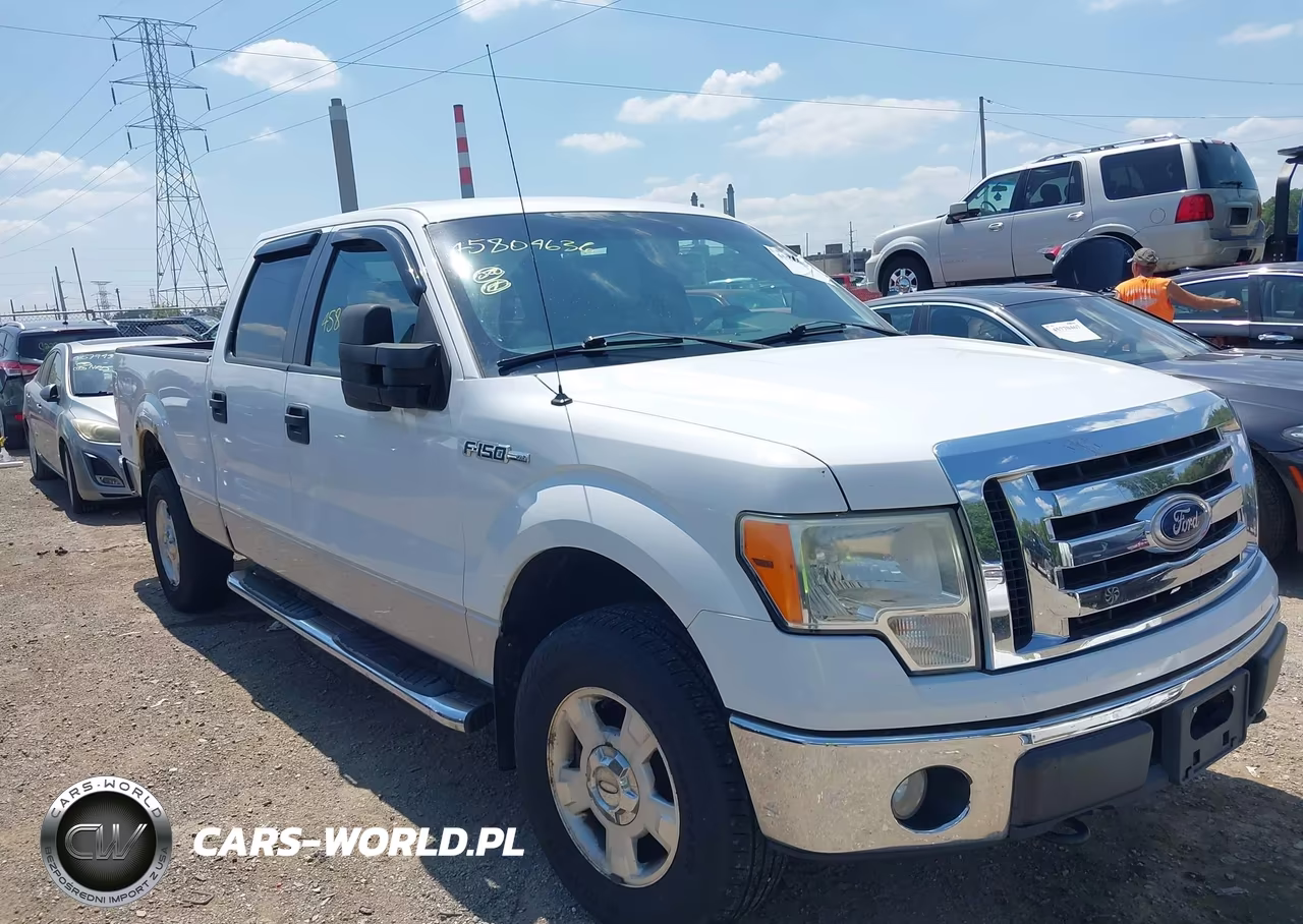 2010 Ford F-150 Xlt VIN:1FTFW1E88AFB87077 - 6