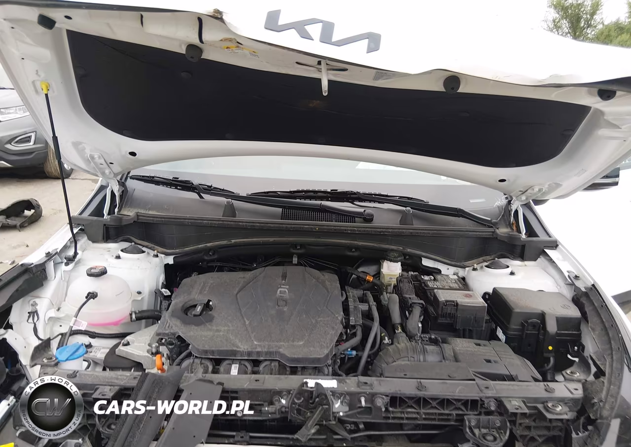 2025 Kia Sportage X-Line VIN:5XYK6CDF4SG304484 - 10