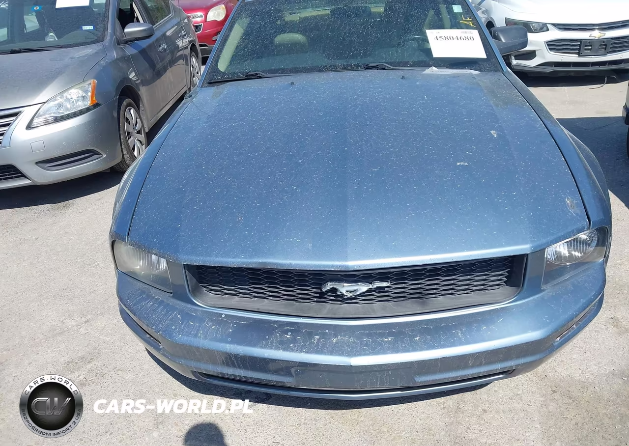 2006 Ford Mustang V6 VIN:1ZVHT80N765123355 - 6