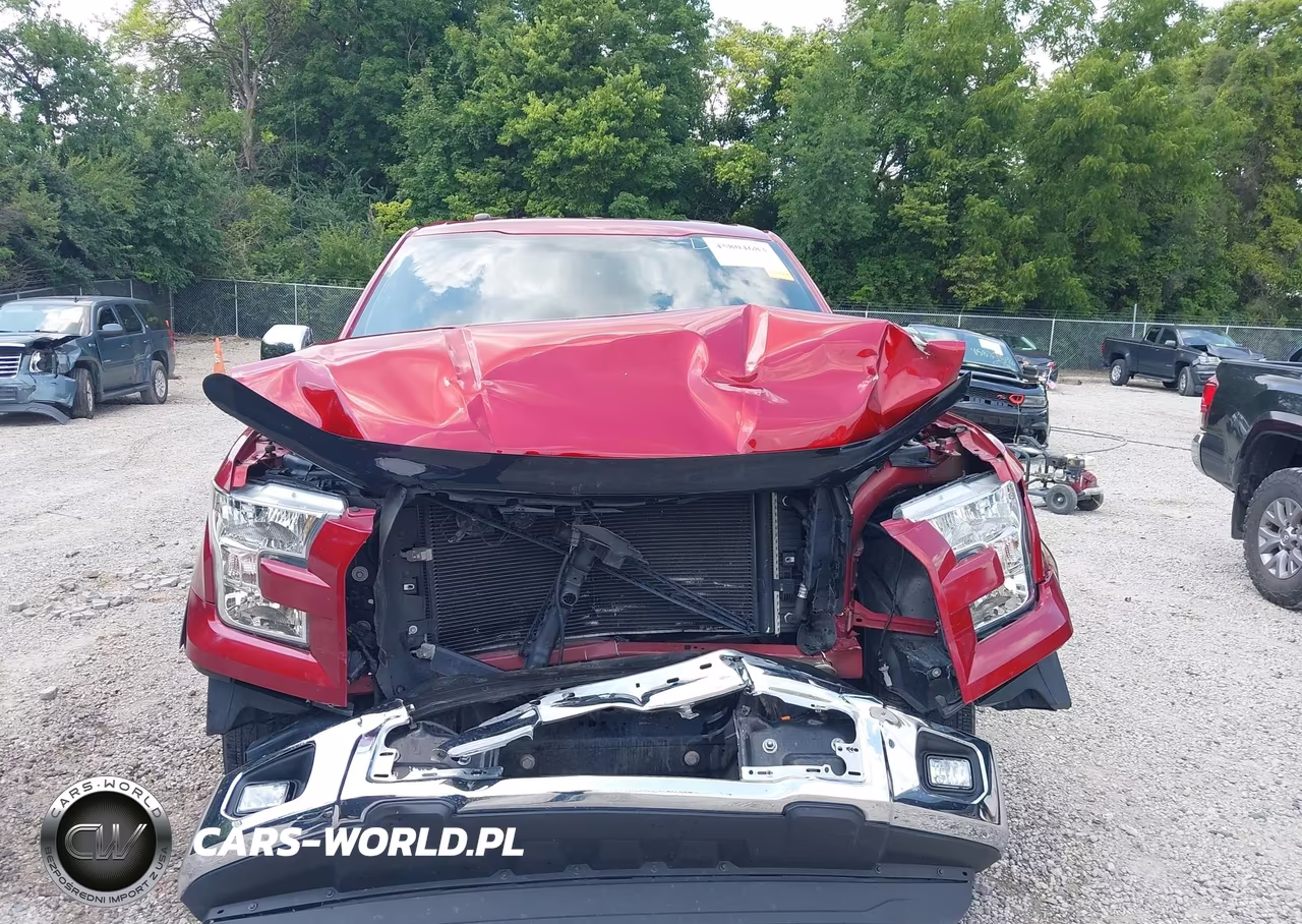 2016 Ford F-150 Xlt VIN:1FTEX1C87GFD37118 - 13