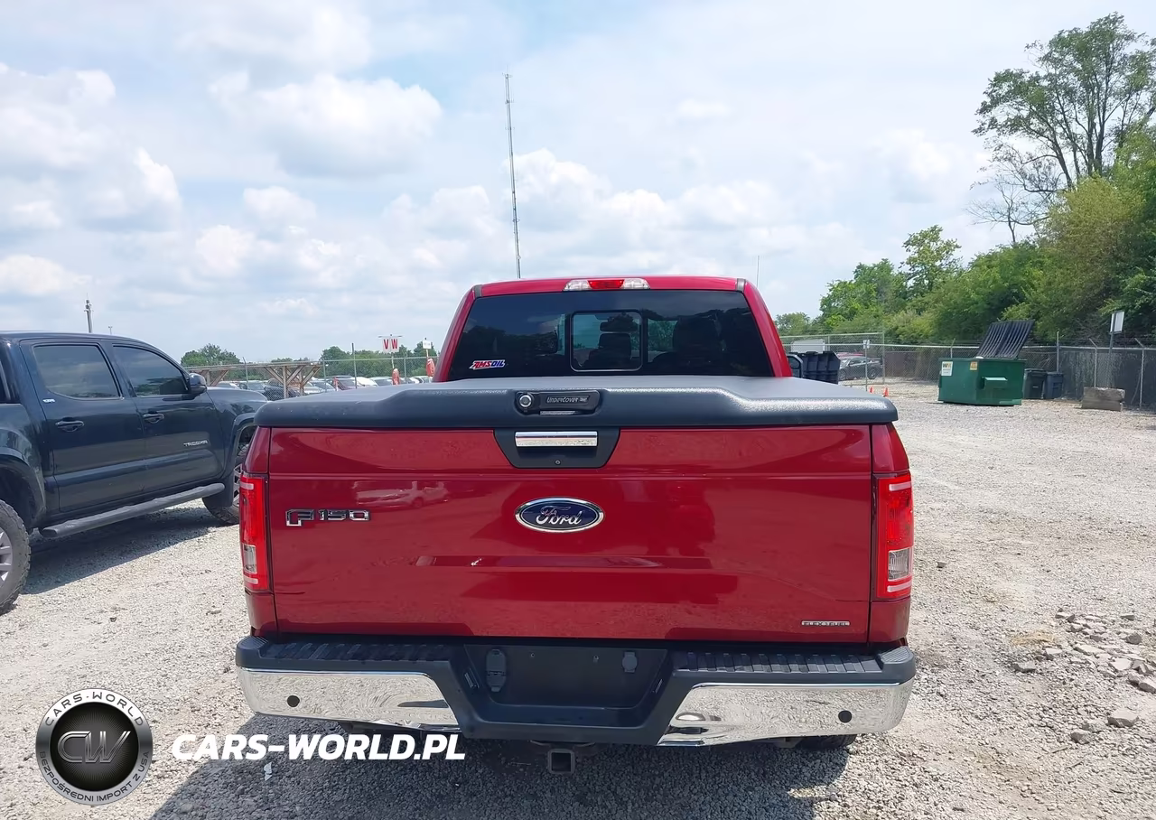 2016 Ford F-150 Xlt VIN:1FTEX1C87GFD37118 - 17