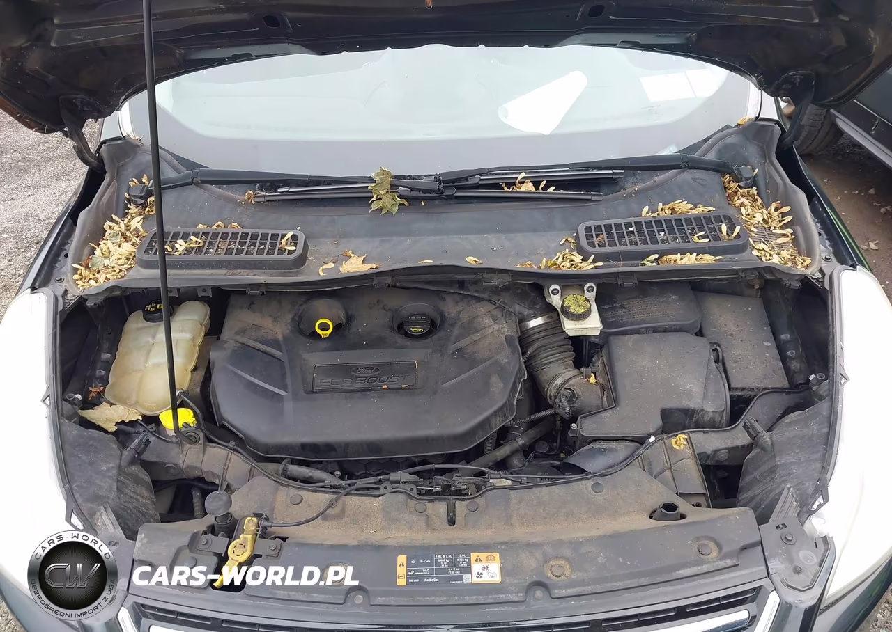 2014 Ford Escape Titanium VIN:1FMCU9J93EUC64277 - 10