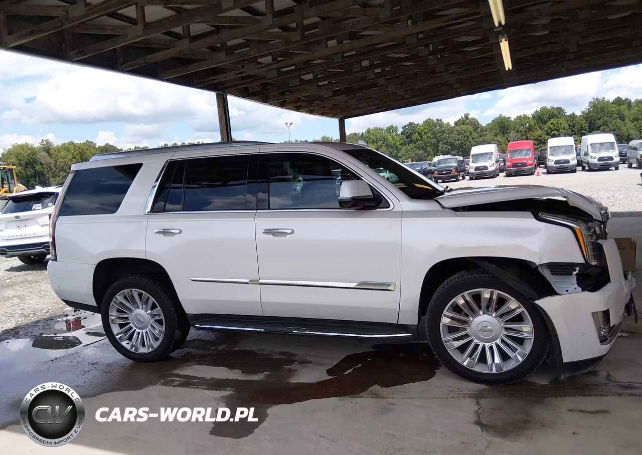 2017 Cadillac Escalade Luxury VIN:1GYS3BKJ9HR349466 - 13