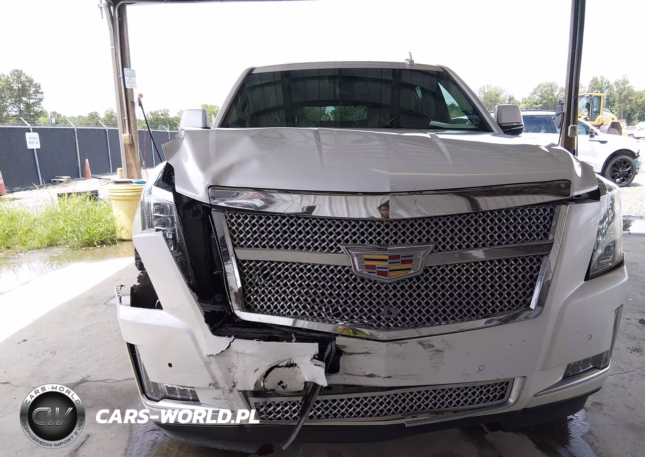 2017 Cadillac Escalade Luxury VIN:1GYS3BKJ9HR349466 - 18