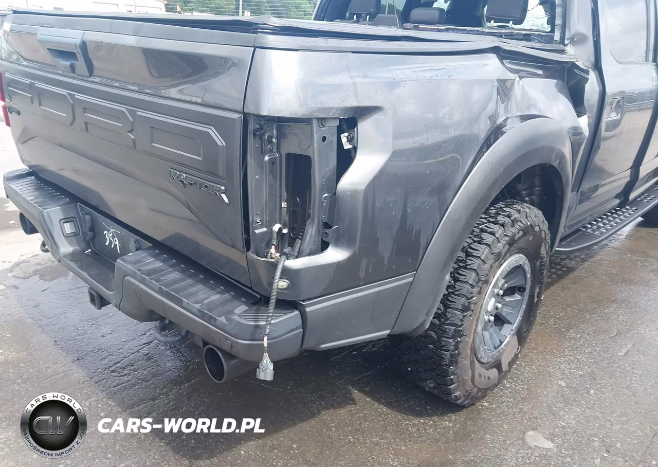 2018 Ford F-150 Raptor VIN:1FTFW1RG4JFA09359 - 15