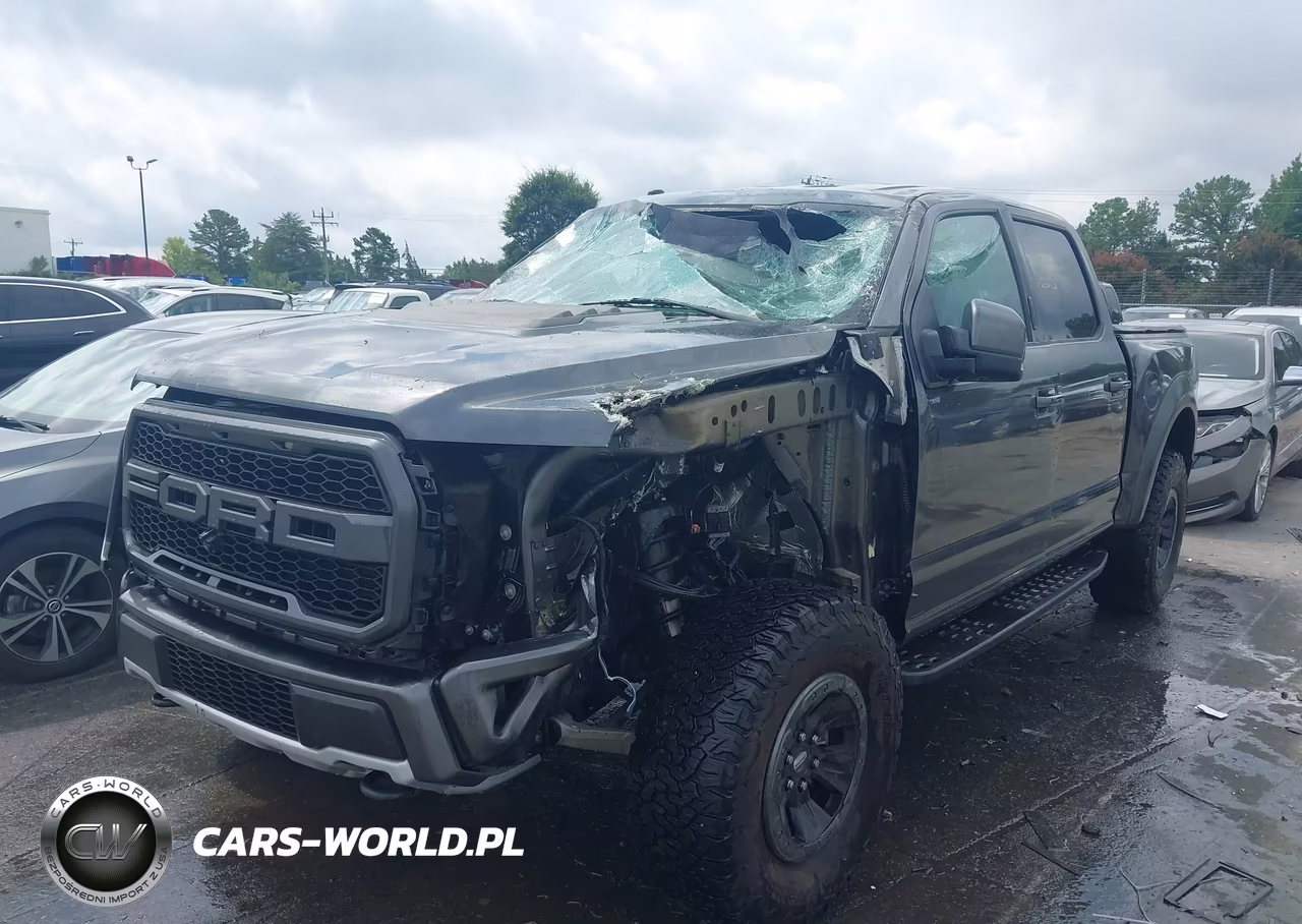 2018 Ford F-150 Raptor VIN:1FTFW1RG4JFA09359 - 2