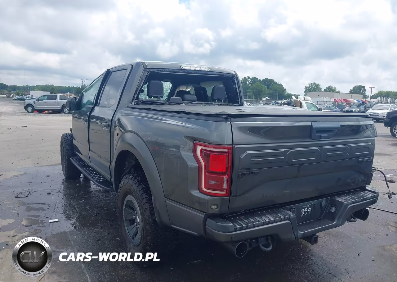 2018 Ford F-150 Raptor VIN:1FTFW1RG4JFA09359 - 3