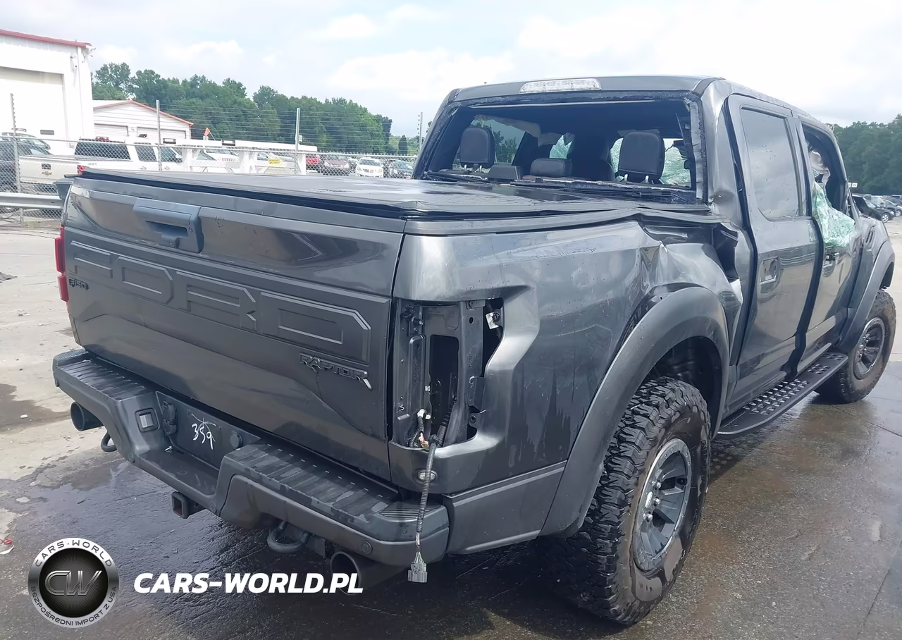 2018 Ford F-150 Raptor VIN:1FTFW1RG4JFA09359 - 4
