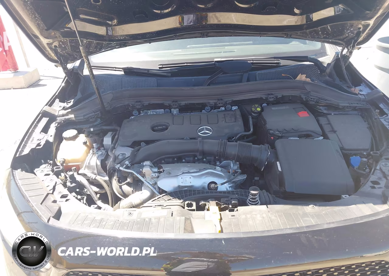 2023 Mercedes-Benz Gla 250 4Matic VIN:W1N4N4HB8PJ429965 - 10