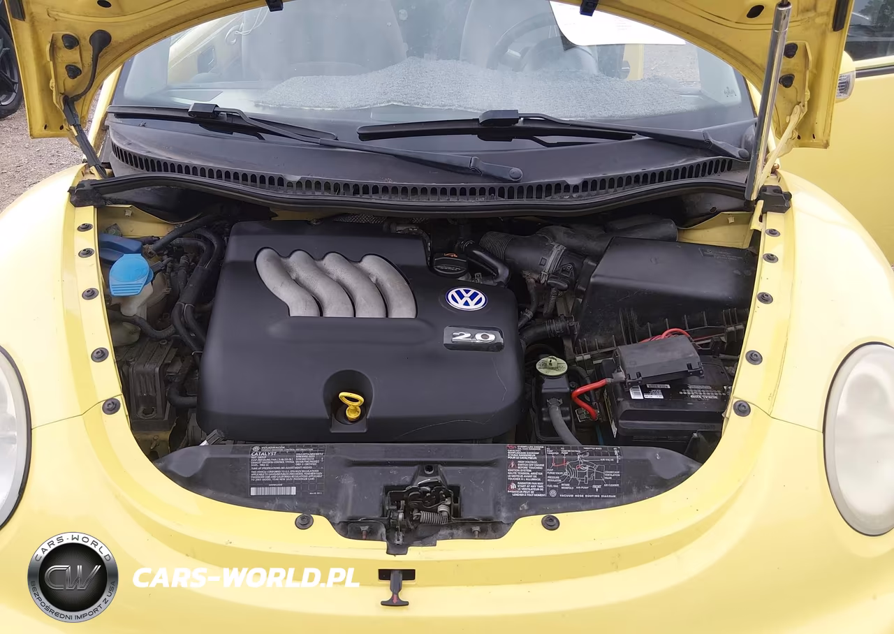 2003 Volkswagen New Beetle Gl VIN:3VWBK21C93M443124 - 10
