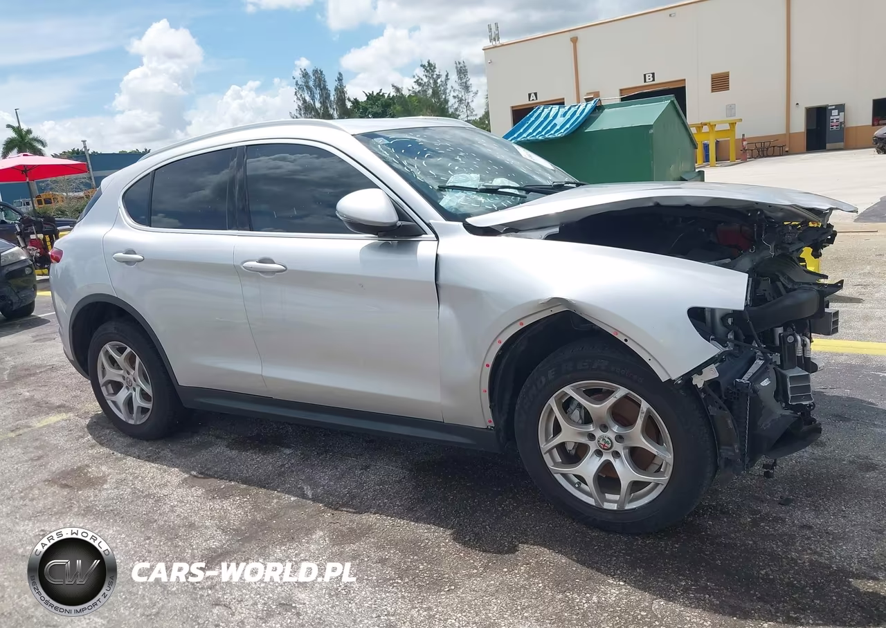 2020 Alfa Romeo Stelvio Rwd VIN:ZASPAJANXL7C90925 - 13