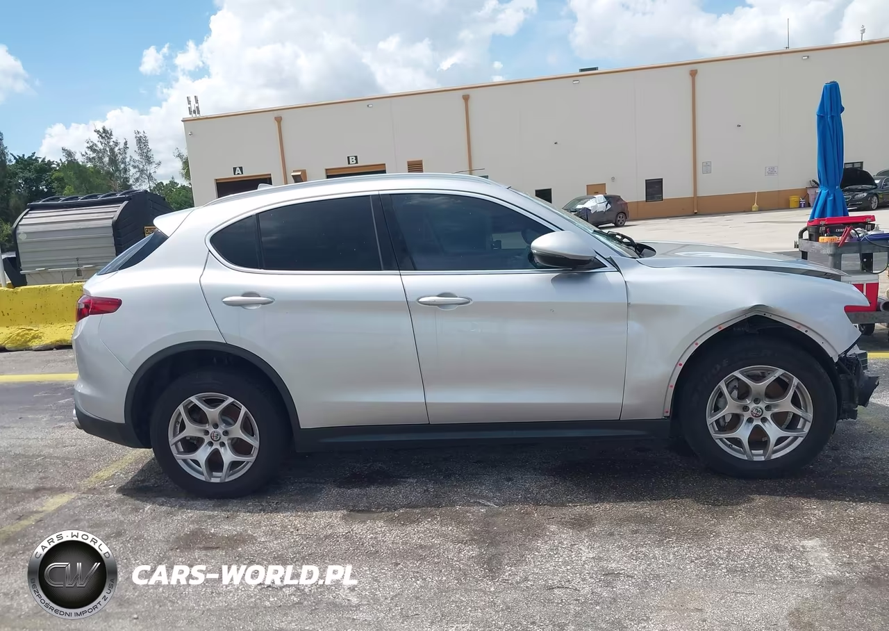 2020 Alfa Romeo Stelvio Rwd VIN:ZASPAJANXL7C90925 - 19