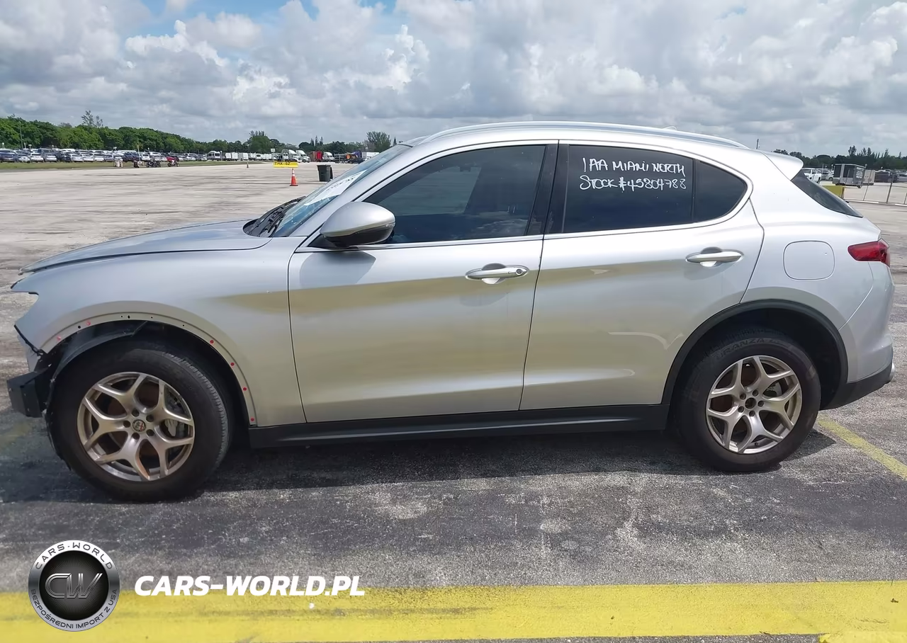 2020 Alfa Romeo Stelvio Rwd VIN:ZASPAJANXL7C90925 - 20