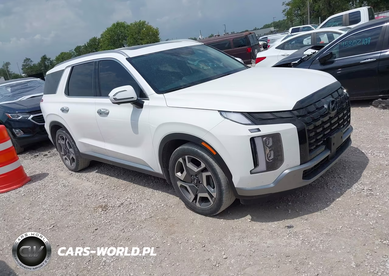 2023 Hyundai Palisade Sel VIN:KM8R4DGE2PU641167 - 1