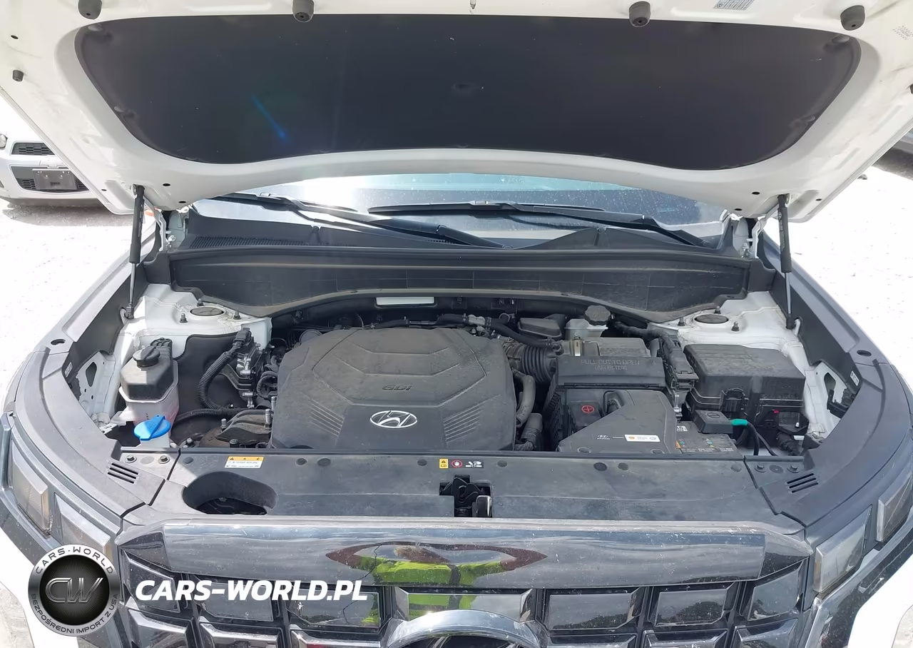 2023 Hyundai Palisade Sel VIN:KM8R4DGE2PU641167 - 10