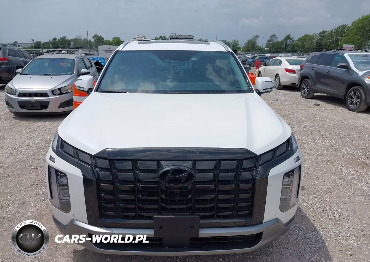 2023 Hyundai Palisade Sel VIN:KM8R4DGE2PU641167 - 12