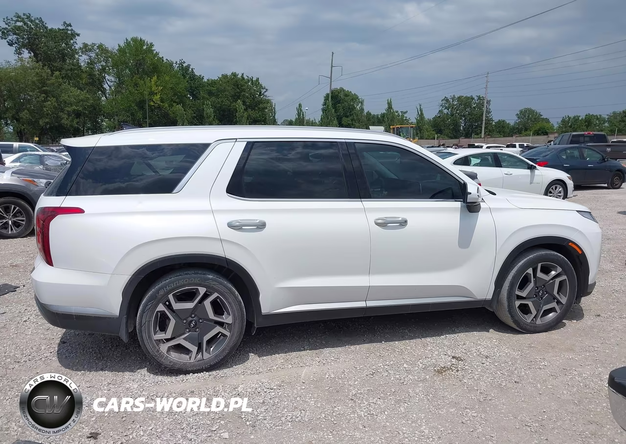 2023 Hyundai Palisade Sel VIN:KM8R4DGE2PU641167 - 13