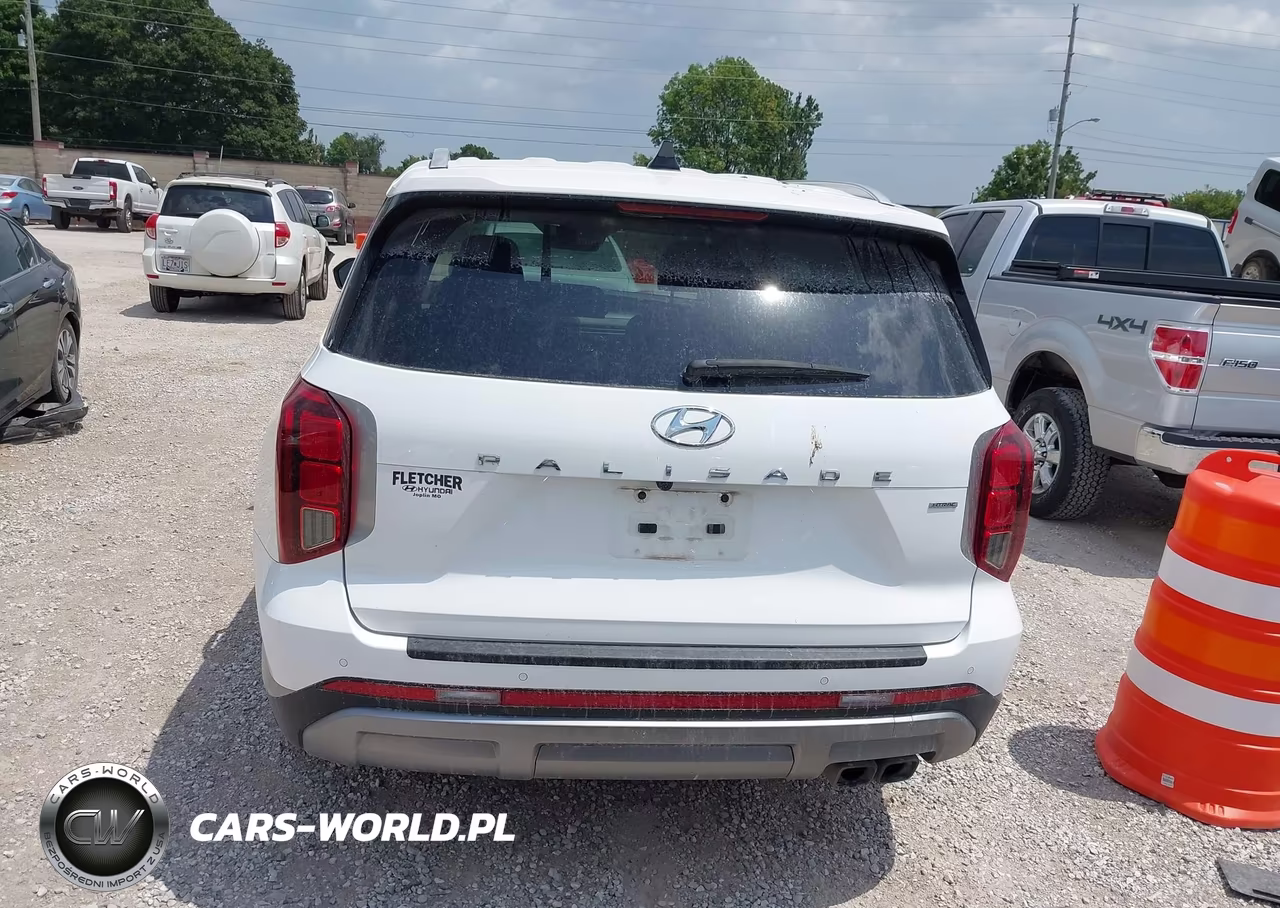 2023 Hyundai Palisade Sel VIN:KM8R4DGE2PU641167 - 16