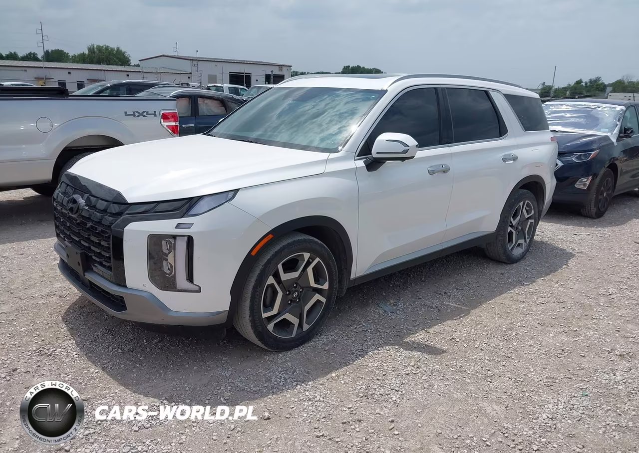 2023 Hyundai Palisade Sel VIN:KM8R4DGE2PU641167 - 2