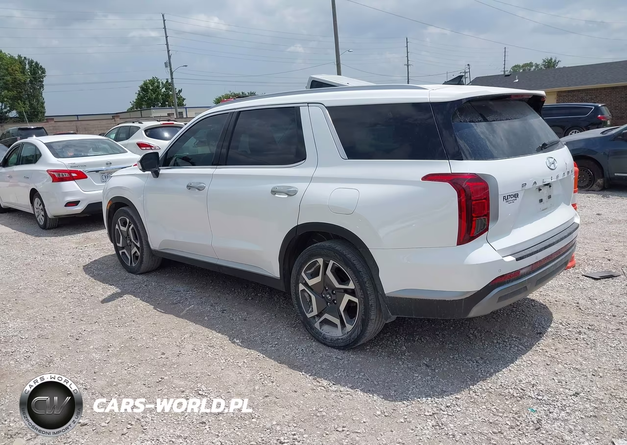 2023 Hyundai Palisade Sel VIN:KM8R4DGE2PU641167 - 3