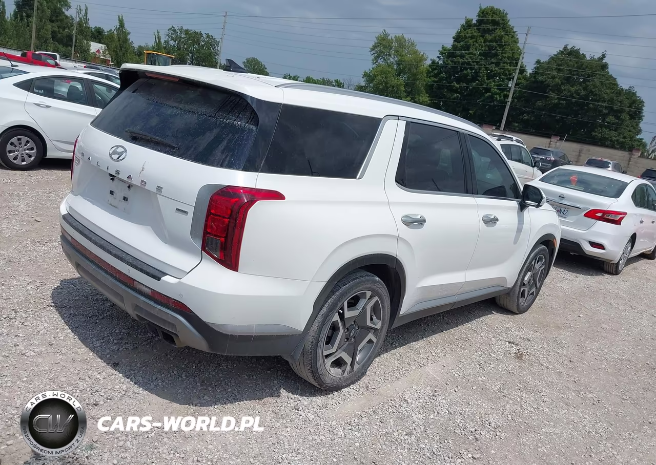 2023 Hyundai Palisade Sel VIN:KM8R4DGE2PU641167 - 4