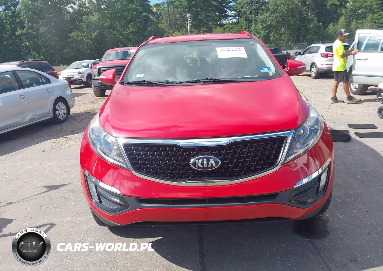 2014 Kia Sportage Ex VIN:KNDPC3AC8E7651262 - 13