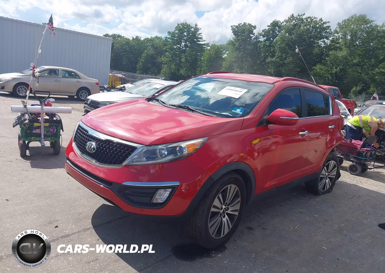 2014 Kia Sportage Ex VIN:KNDPC3AC8E7651262 - 2