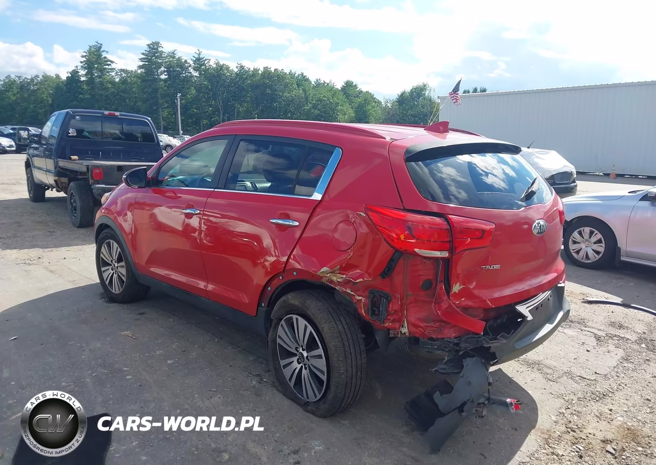 2014 Kia Sportage Ex VIN:KNDPC3AC8E7651262 - 3