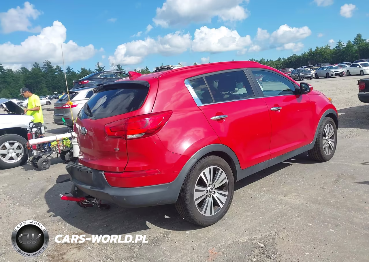 2014 Kia Sportage Ex VIN:KNDPC3AC8E7651262 - 4