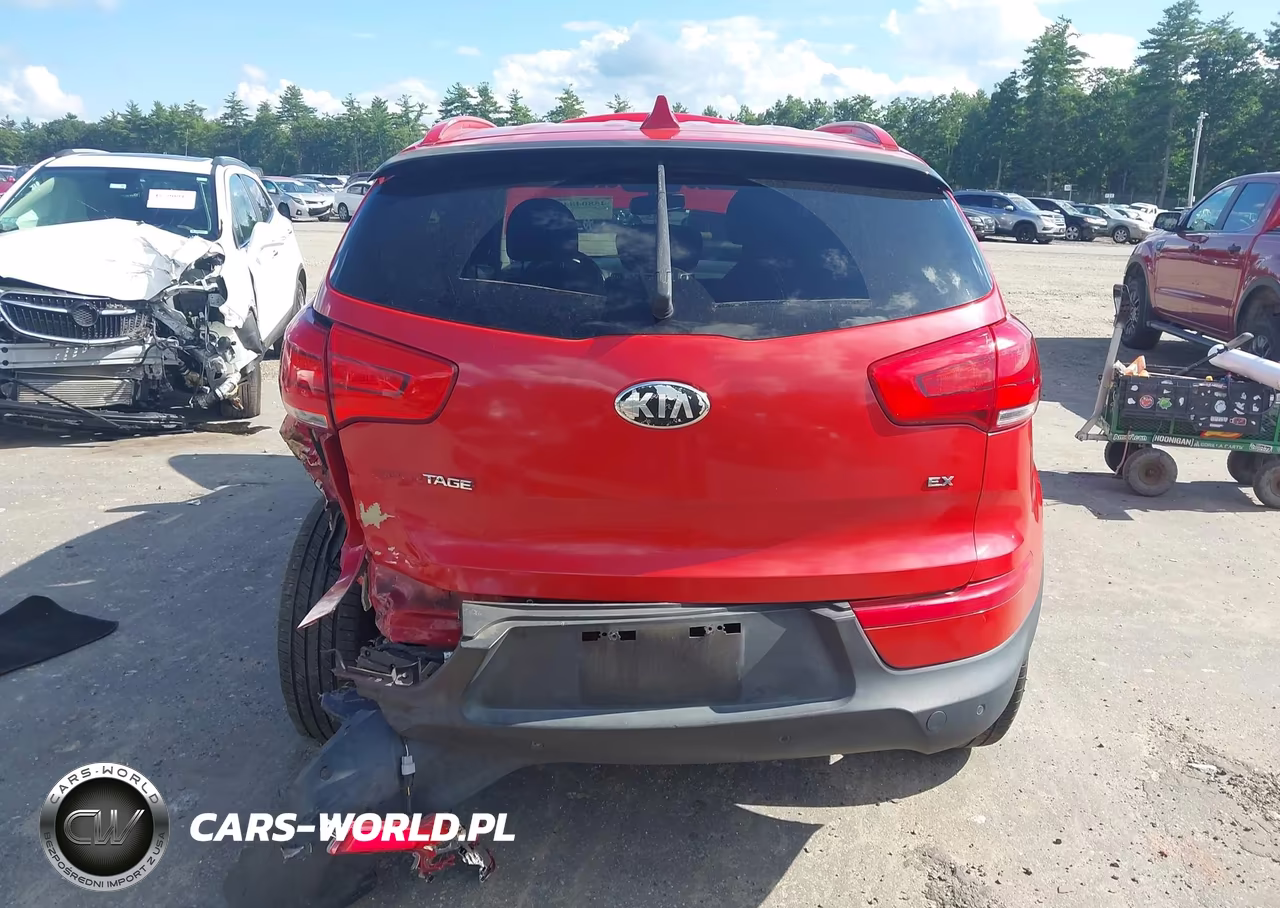 2014 Kia Sportage Ex VIN:KNDPC3AC8E7651262 - 6