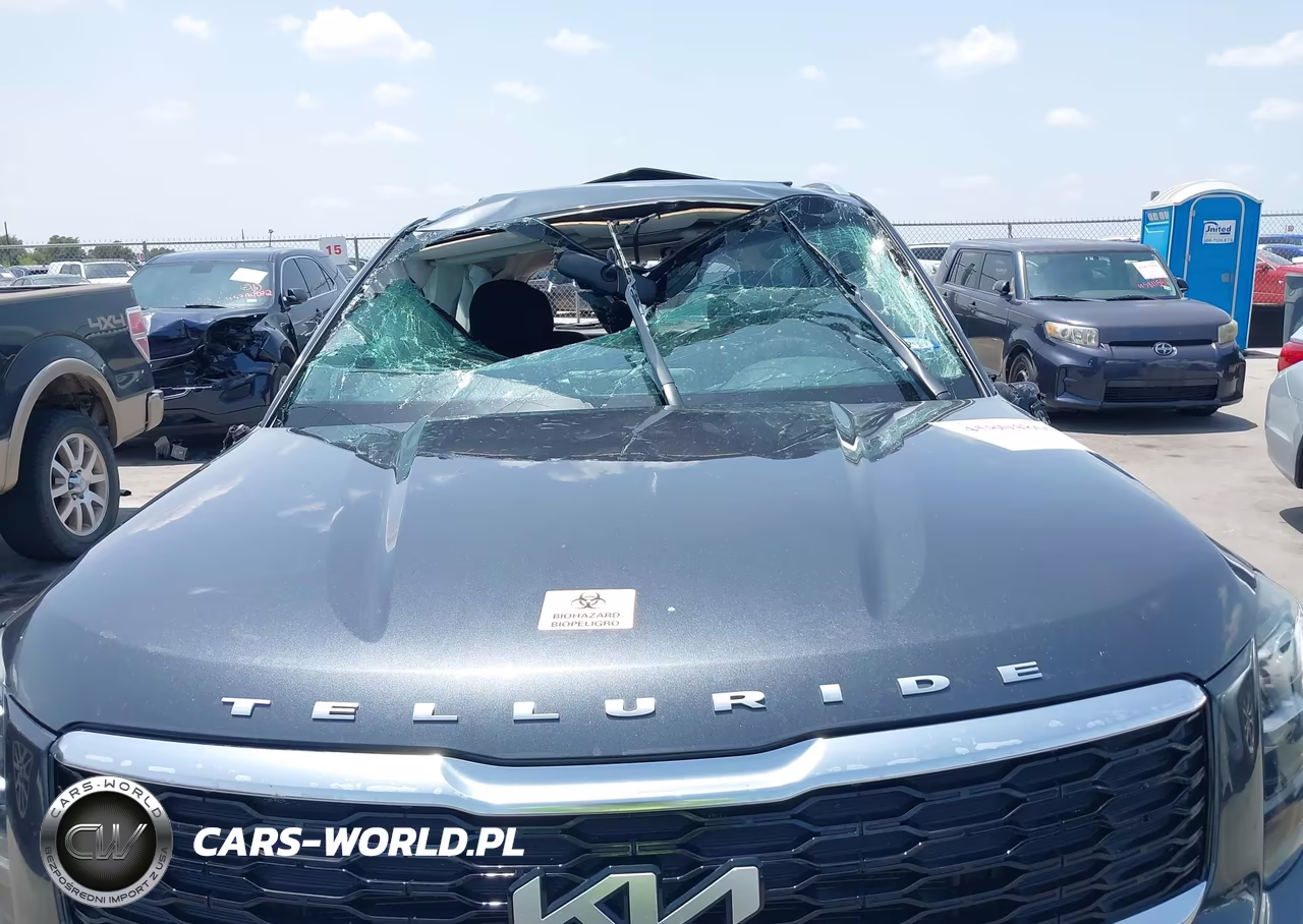 2022 Kia Telluride Ex VIN:5XYP34HC0NG261402 - 10