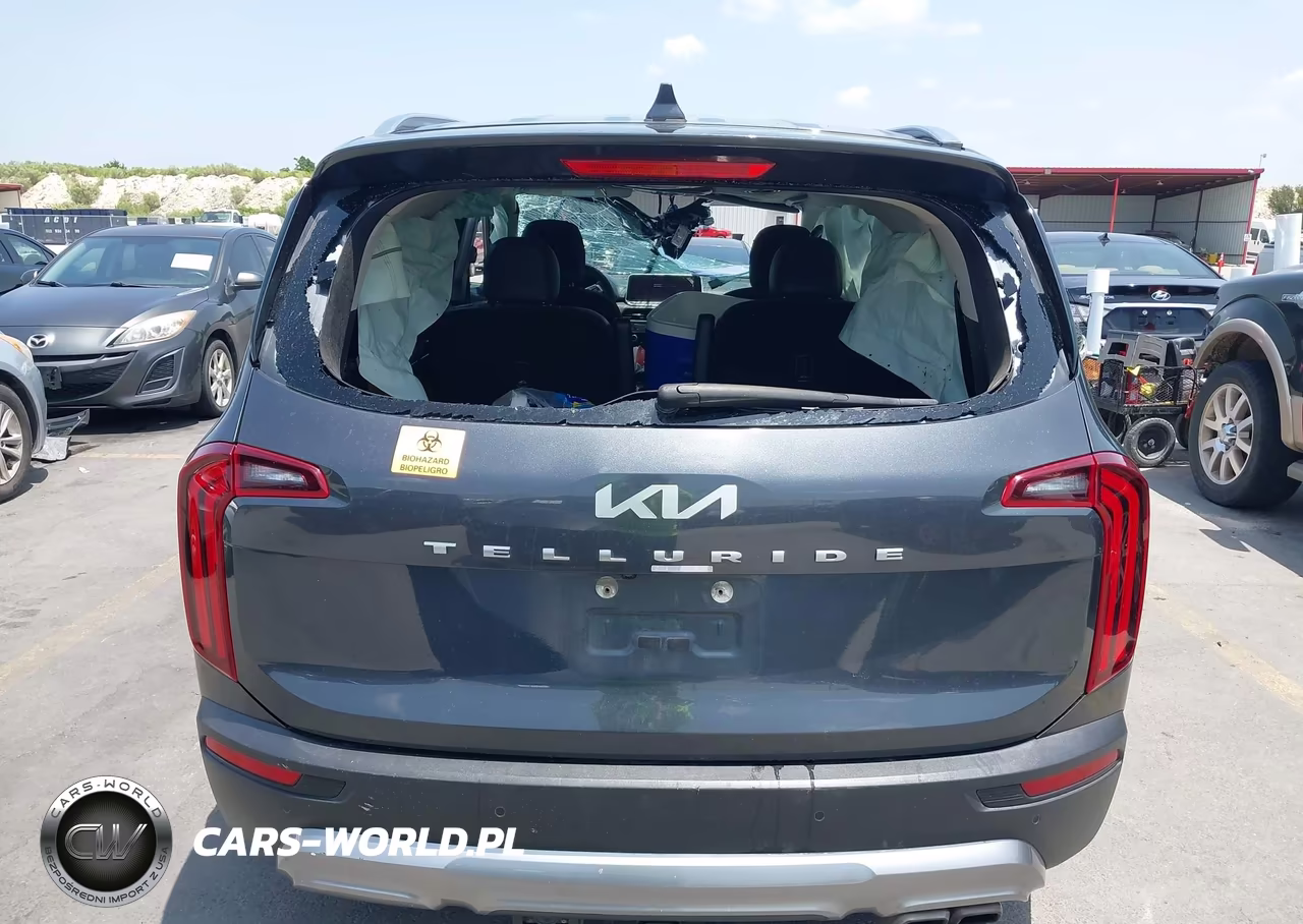 2022 Kia Telluride Ex VIN:5XYP34HC0NG261402 - 16