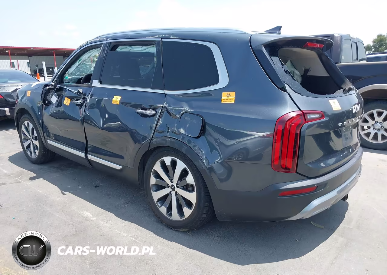 2022 Kia Telluride Ex VIN:5XYP34HC0NG261402 - 3