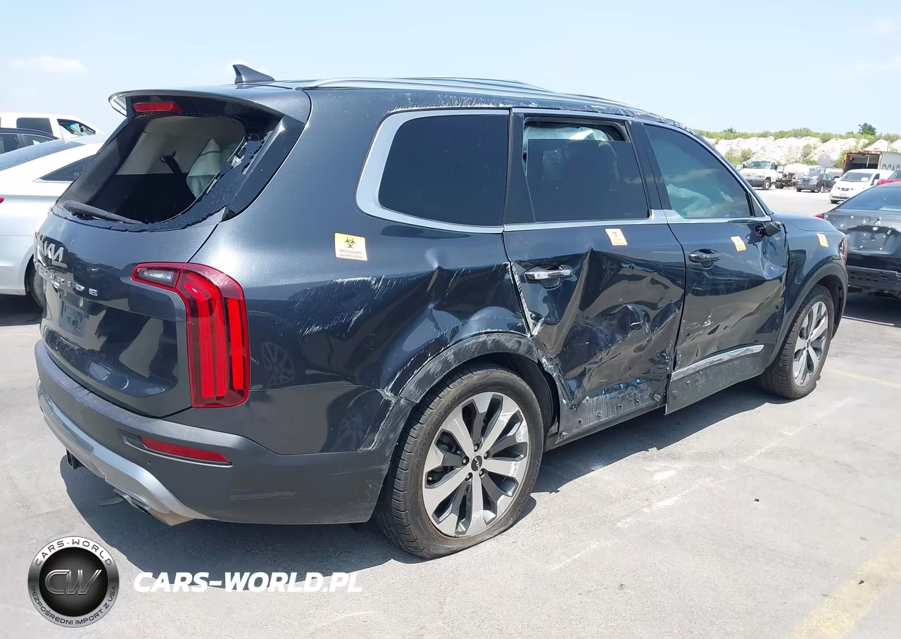 2022 Kia Telluride Ex VIN:5XYP34HC0NG261402 - 4
