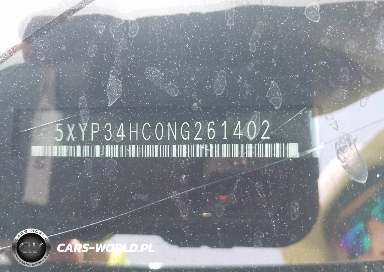2022 Kia Telluride Ex VIN:5XYP34HC0NG261402 - 9