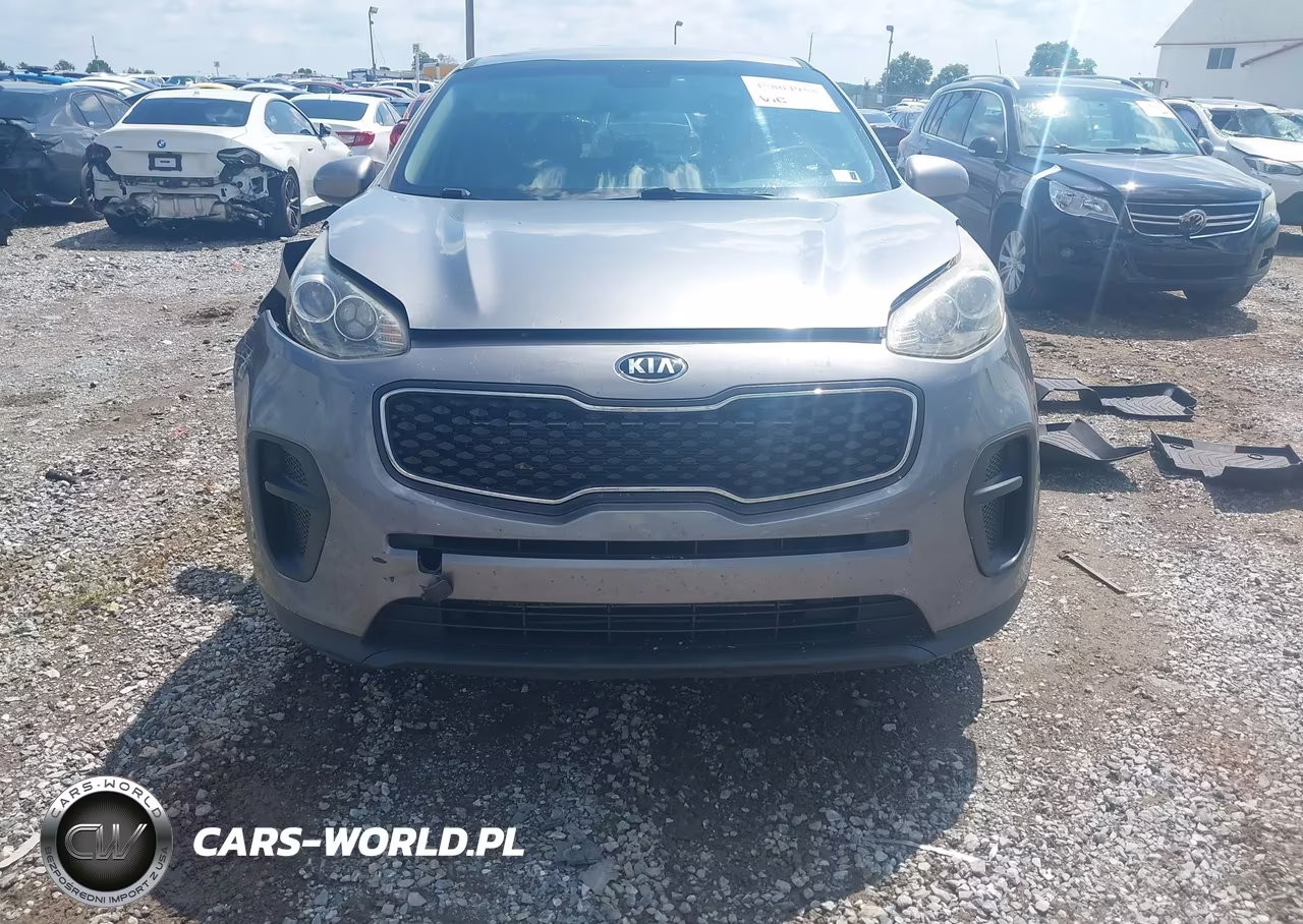 2019 Kia Sportage Lx VIN:KNDPM3AC3K7558304 - 13