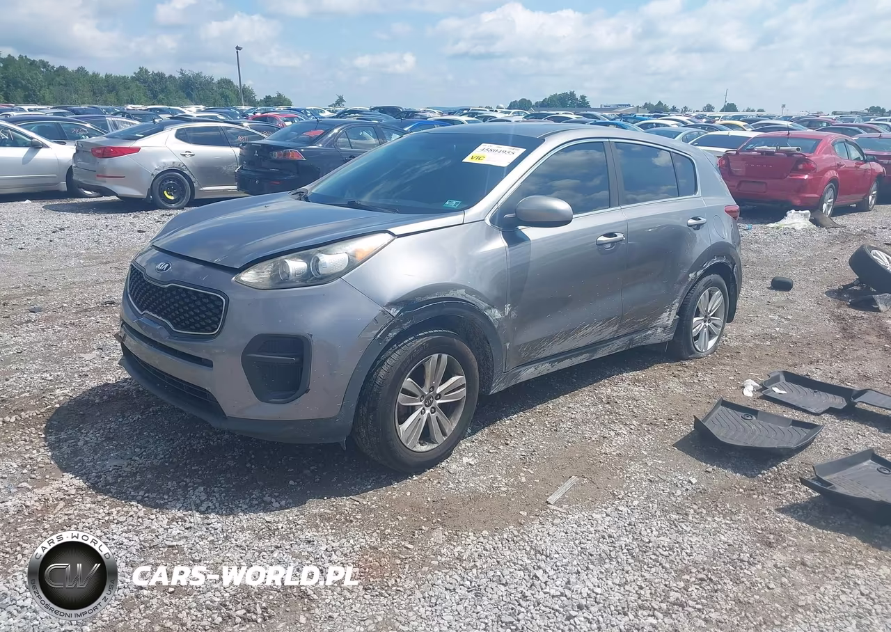 2019 Kia Sportage Lx VIN:KNDPM3AC3K7558304 - 2