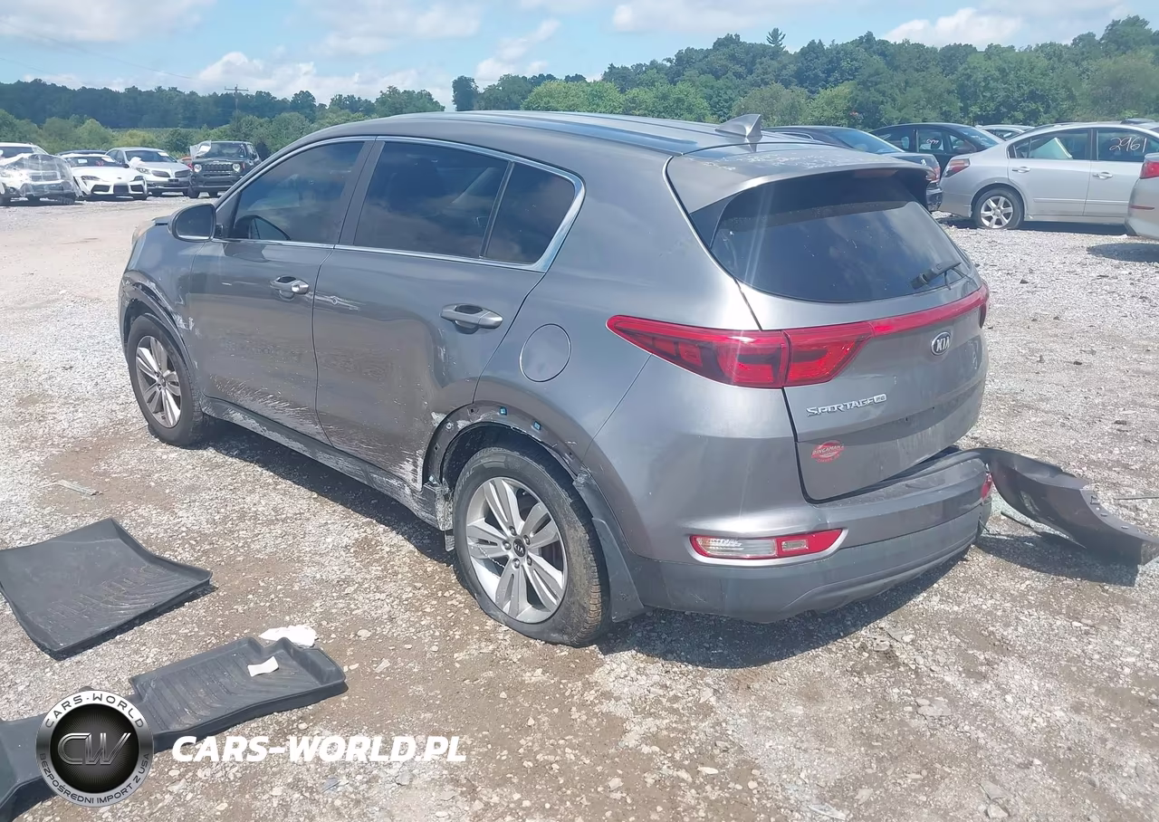 2019 Kia Sportage Lx VIN:KNDPM3AC3K7558304 - 3