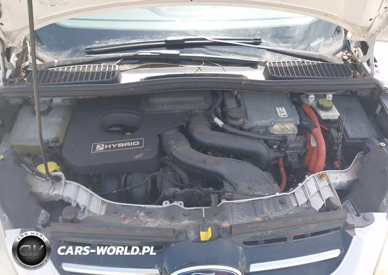 2013 Ford C-Max Hybrid Sel VIN:1FADP5BU7DL505263 - 10