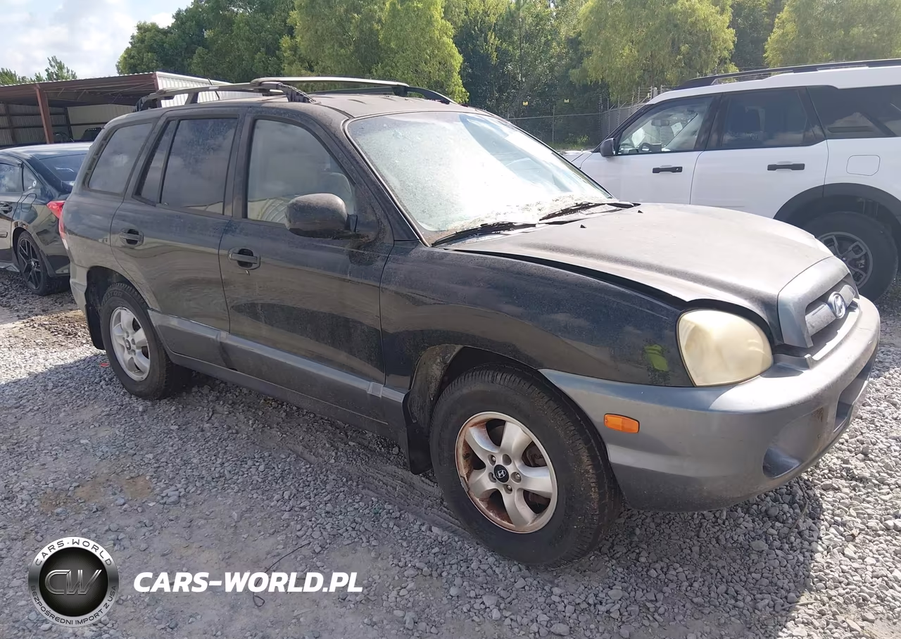 2006 Hyundai Santa Fe Gls
