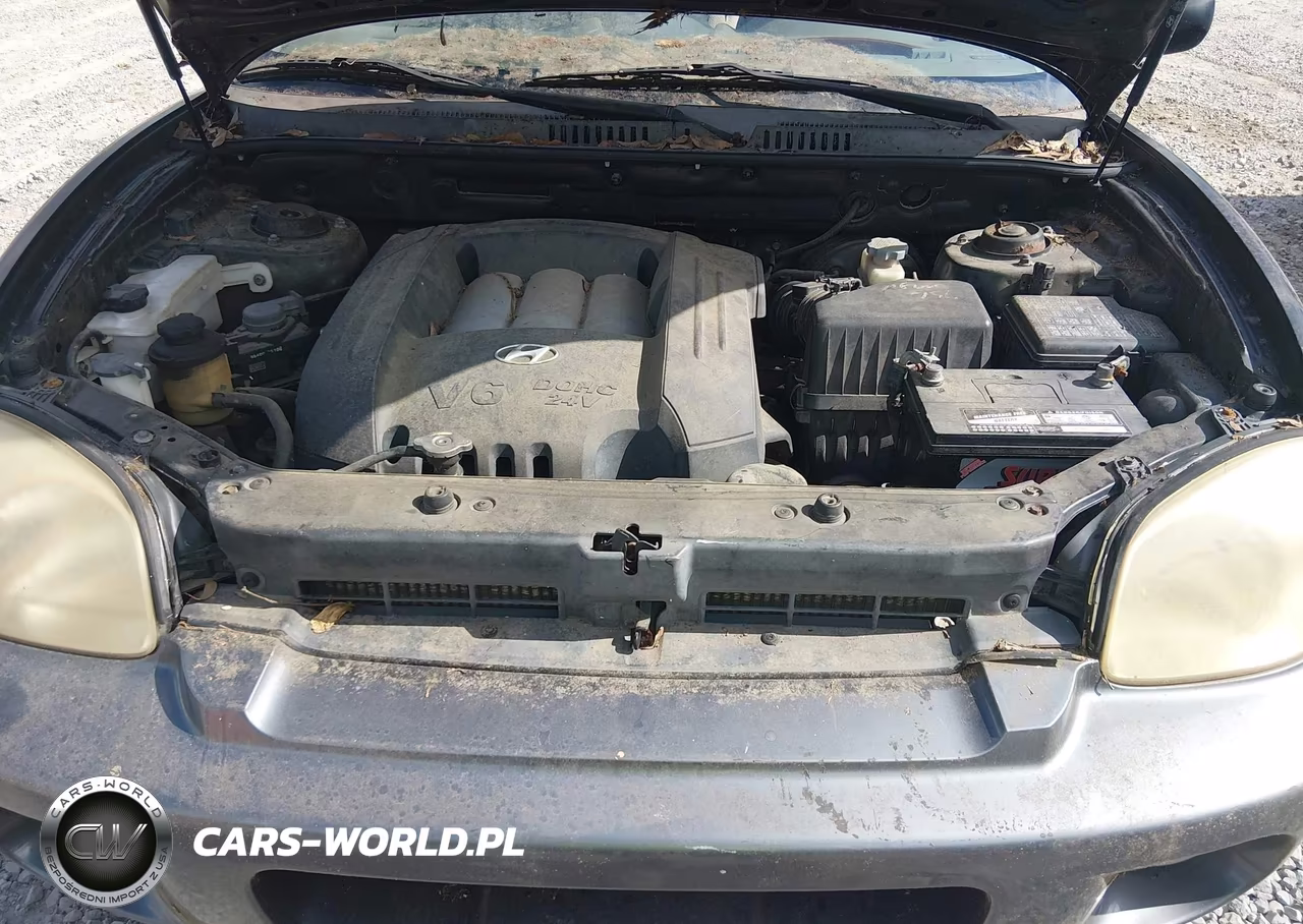 2006 Hyundai Santa Fe Gls VIN:KM8SC13D16U057549 - 10