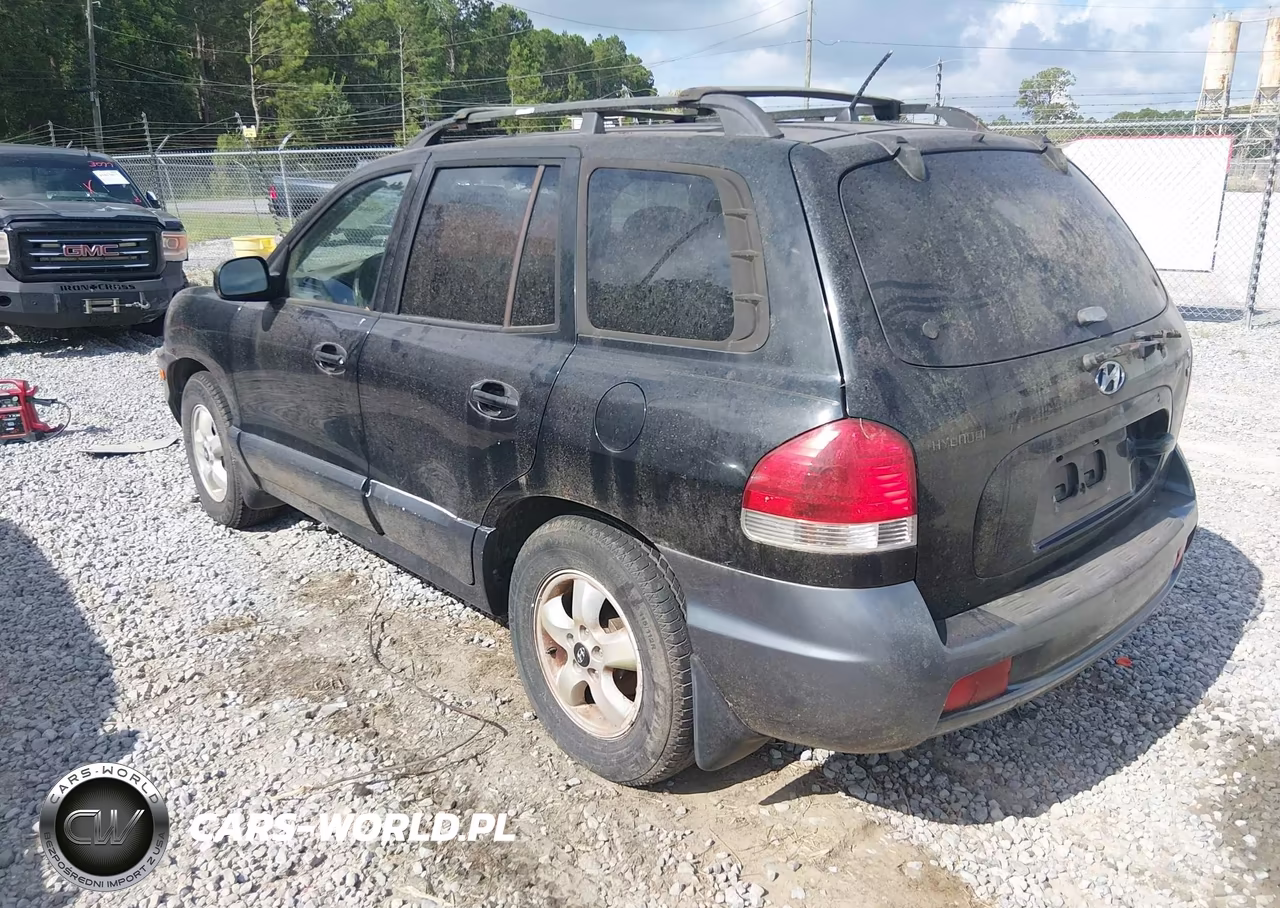 2006 Hyundai Santa Fe Gls VIN:KM8SC13D16U057549 - 3