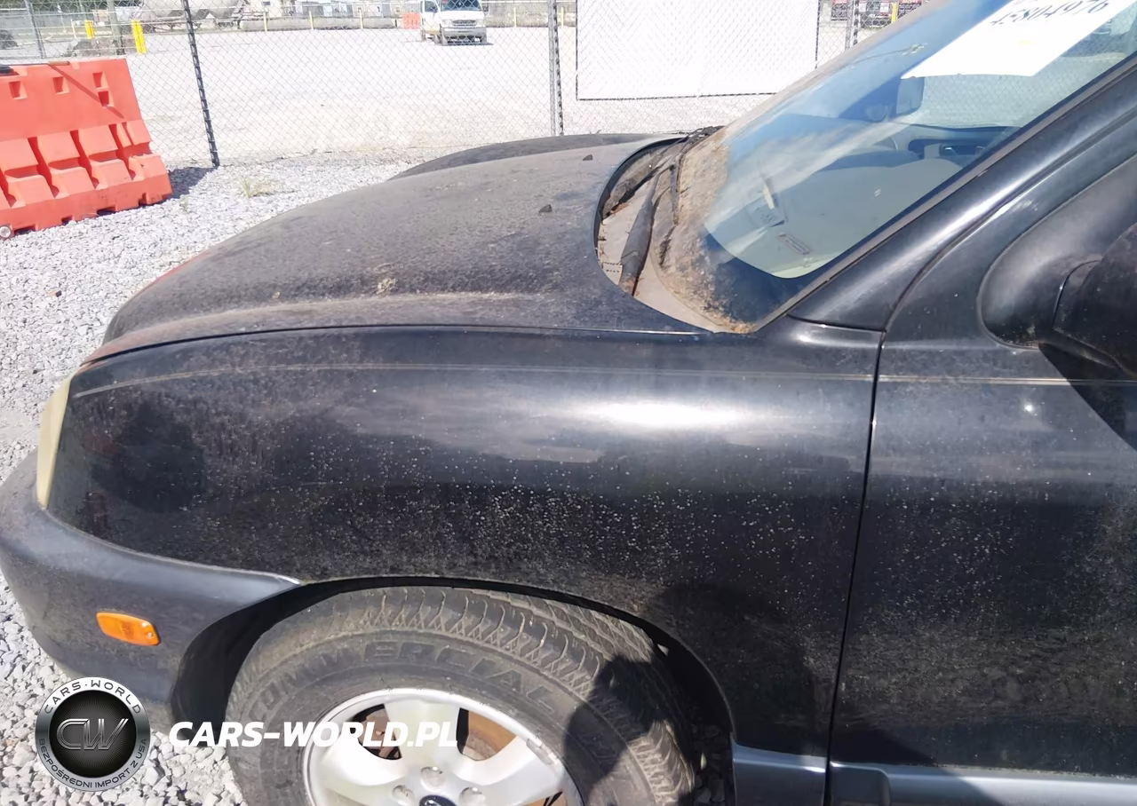 2006 Hyundai Santa Fe Gls VIN:KM8SC13D16U057549 - 6