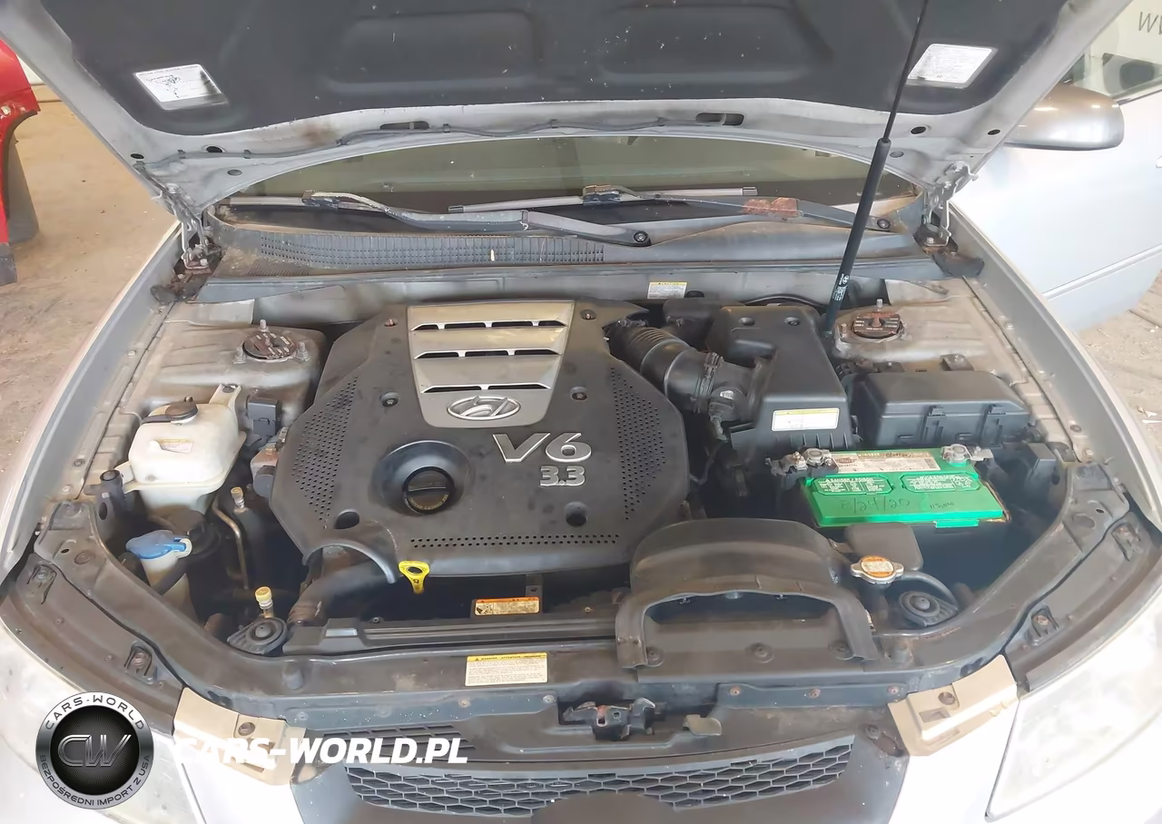 2006 Hyundai Sonata Gls V6-Lx V6 VIN:5NPEU46F76H044294 - 10