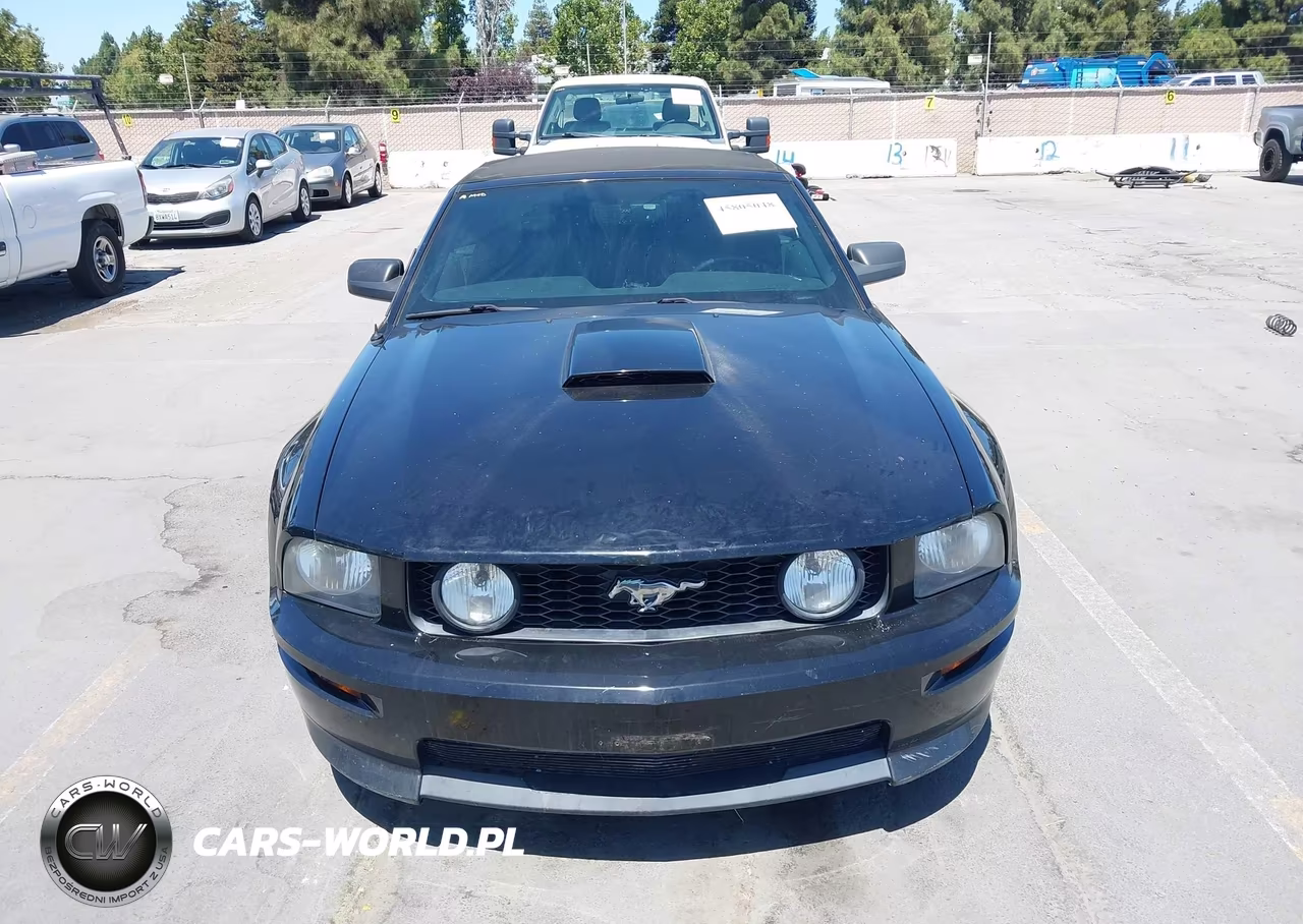 2007 Ford Mustang Gt Deluxe-Gt Premium VIN:1ZVHT85HX75229254 - 12