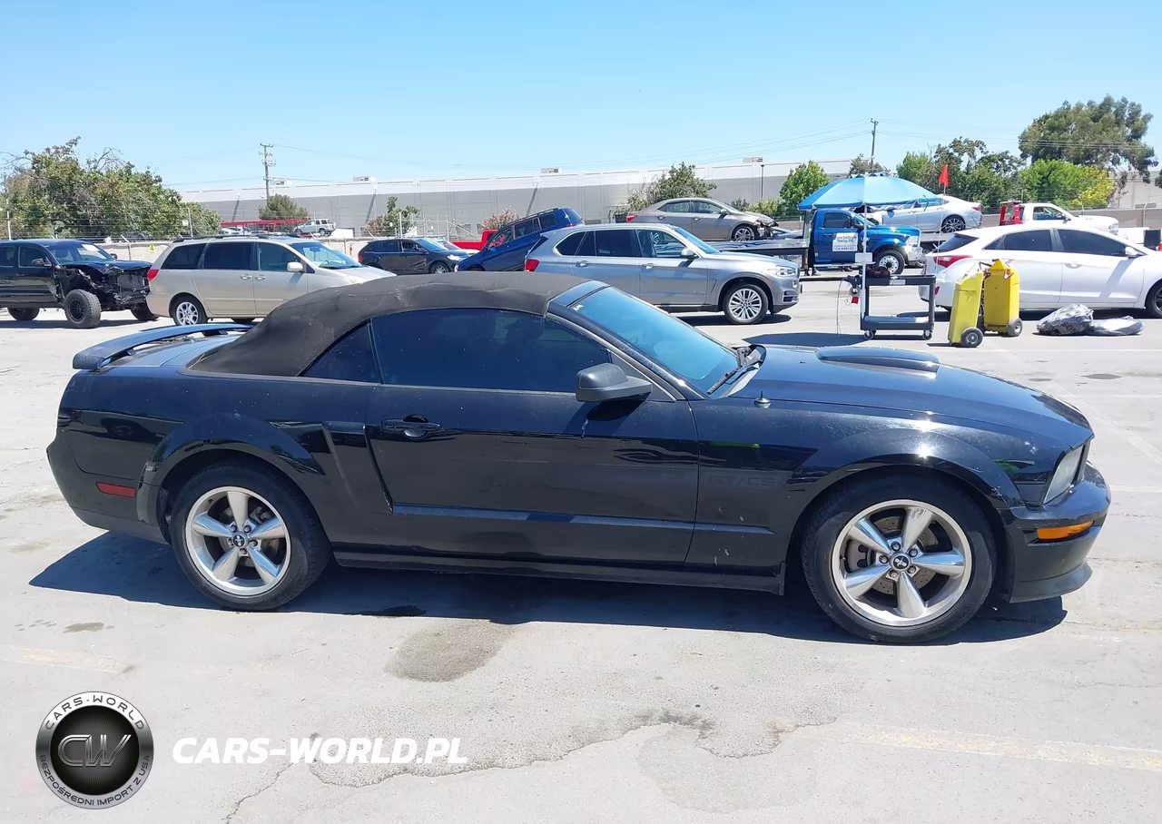 2007 Ford Mustang Gt Deluxe-Gt Premium VIN:1ZVHT85HX75229254 - 13