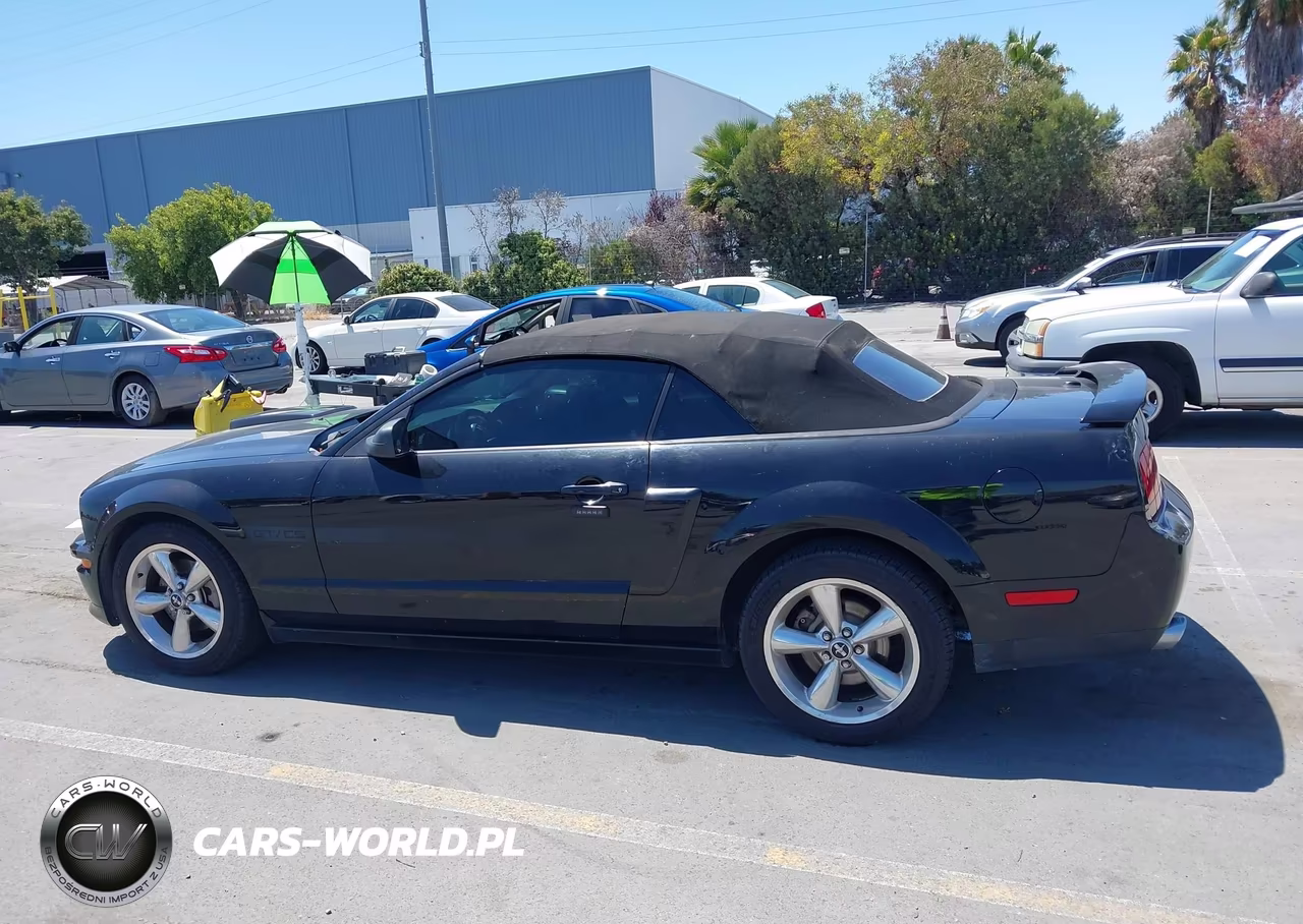 2007 Ford Mustang Gt Deluxe-Gt Premium VIN:1ZVHT85HX75229254 - 14