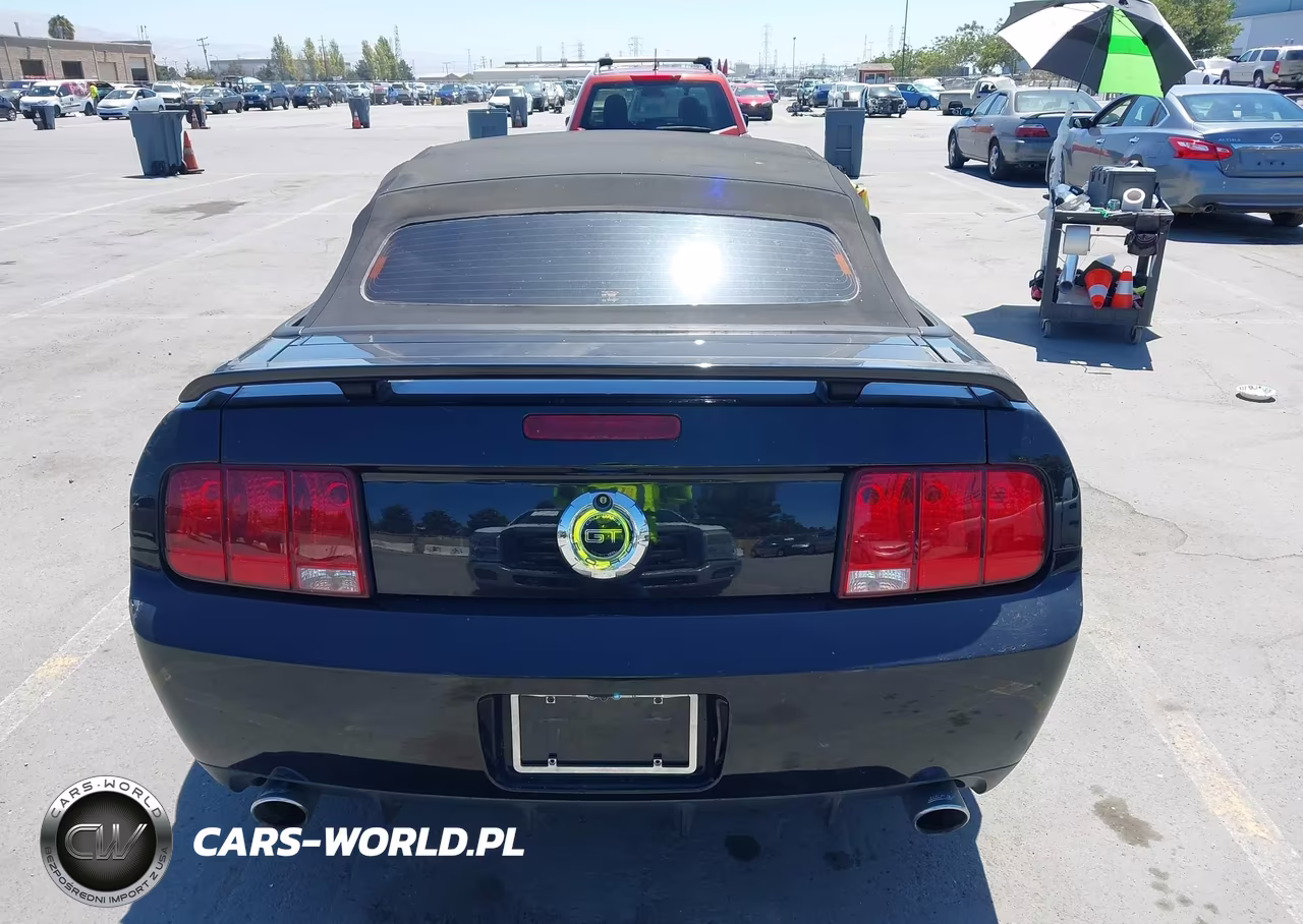 2007 Ford Mustang Gt Deluxe-Gt Premium VIN:1ZVHT85HX75229254 - 16