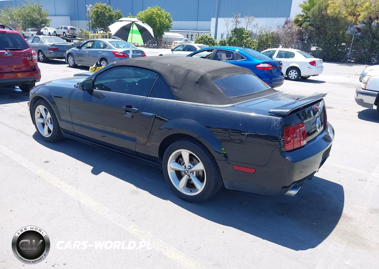 2007 Ford Mustang Gt Deluxe-Gt Premium VIN:1ZVHT85HX75229254 - 3